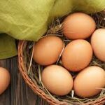 How to start a profitable egg business